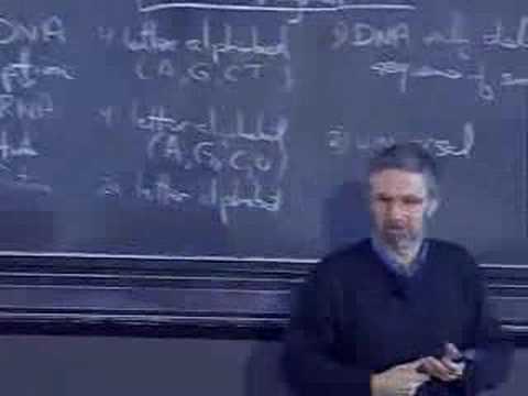 Molecular Biology IV 