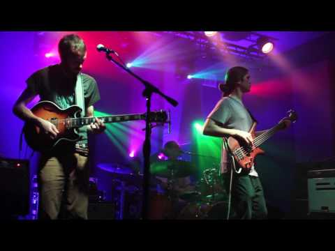 The Jauntee - Renaissance Man - 12/5/2015 [HD]