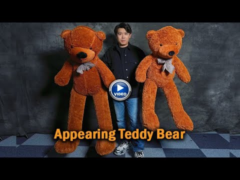 Voir la vidéo de Appearing Teddy Bear