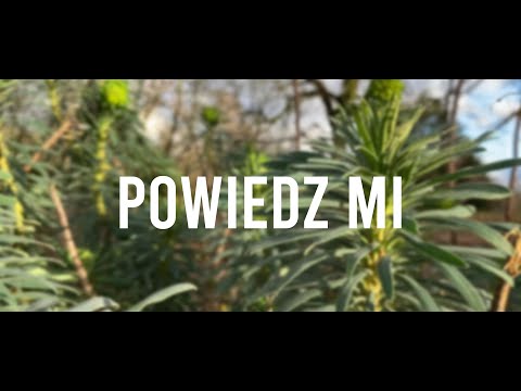 emforti x krzywho x karpiu - Powiedz mi (prod. deyjanbeats)