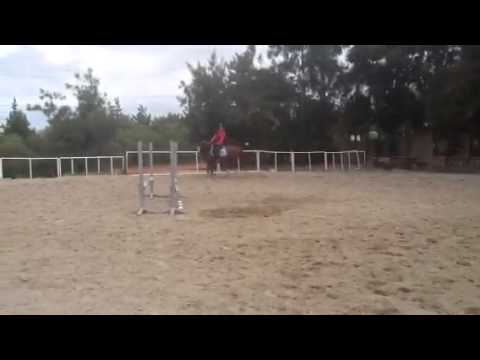 Thistledown lord of the dance