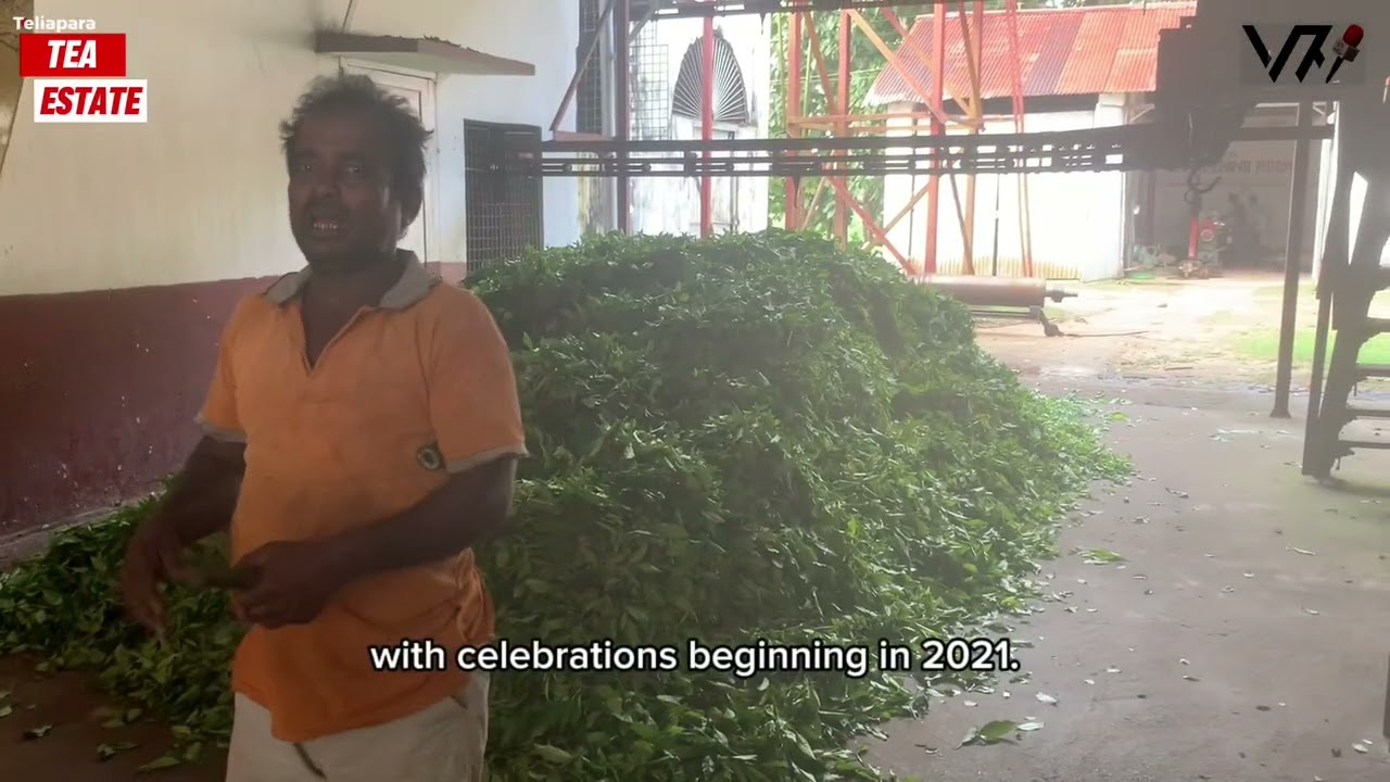 Teliapara Tea Industry Marks Historic Milestones in Bangladesh's Growth