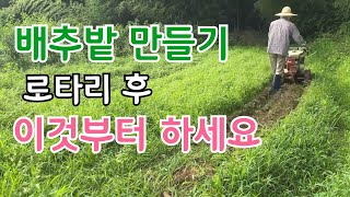 배추 밭 만들기 이것부터 시작하면 배추가 맛있게 잘 자랍니다