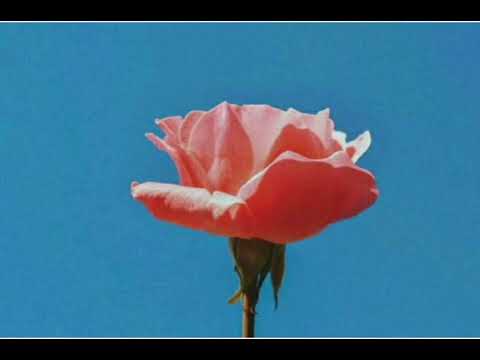 [FREE] Instru Rap Trap/Lourd/Conscient - STREET - Prod. By KENNY ROSS