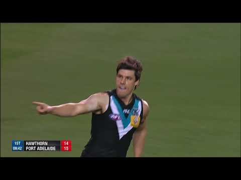 Round 21 Port Adelaide VS Hawthorn 2015 Angus Monfries Luke Hodge