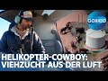Helden Des Outbacks Der Helikopter Cowboy Und Seine Abenteuerliche Viehzucht In Australien