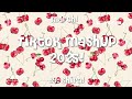 TikTok Mashup 2025