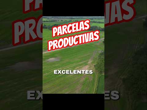 parcelas en granada meta, de 5 hectáreas en adelante #granada meta ##ventadefincas #parcelas