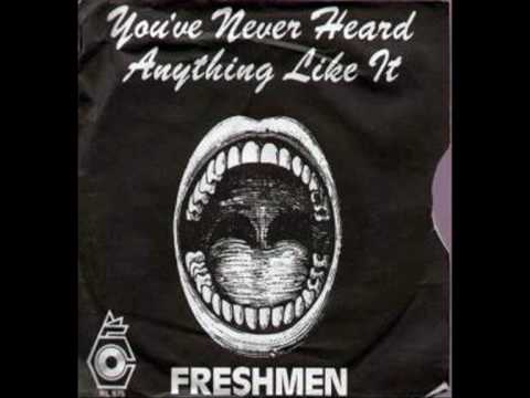 The Freshmen - You've Never Heard Anything Like This (Vinyl Rip)