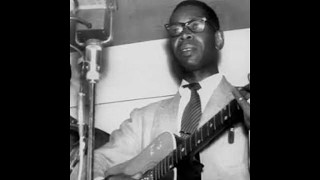 Elmore James - Make My Dreams Come True