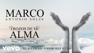 Marco Antonio Solís - Mi Eterno Amor Secreto (Animated Video)