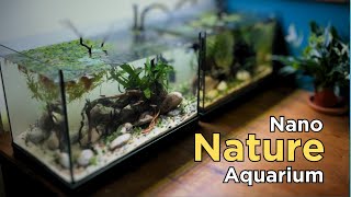 How to: I made a nano Nature Aquarium (No CO2, aquascaping tutorial)