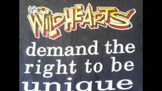 The Wildhearts - Live 1998 Oct 19th Club Quattro, Nagoya, Japan (audio only)