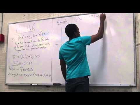 Math 203 Lecture 16 - Examples - Implicit differentiaiton, Directional Derivatives, Gradients