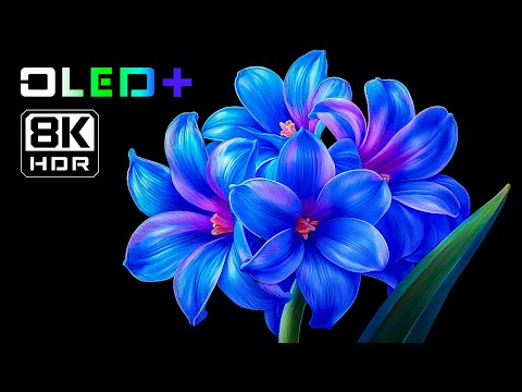 OLED DEMO – Beautiful Blossoming Flowers in 8K HDR | Dolby Vision™