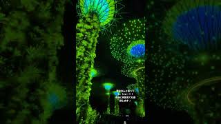 シンガポール🇸🇬 04 ガーデンズバイザベイ Gardens by the bay #シンガポール #singapore #旅行 #海外旅行 #海外生活 #gardensbythebay