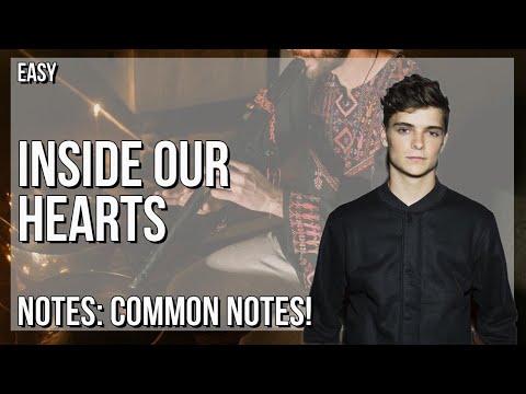 How to play Inside Our Hearts by Martin Garrix & Alesso ft Shaun Farrugia on Tin Whistle (Tutorial)