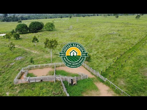 Terra pronta pra pecuária 134 Hectares em Rondônia