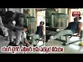 Young Tiger NTR Gym Workout Video Jr NTR Gym Workout Video Viral Bcn Channel