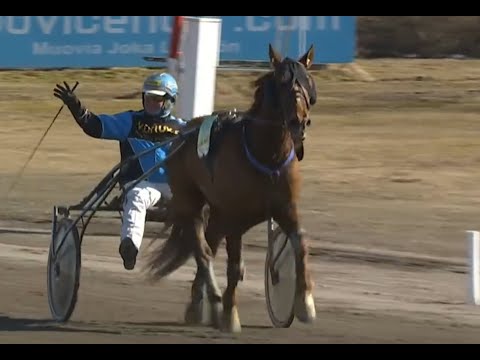 Kylmäverihevosten Suomen Cup 2023 - Morison