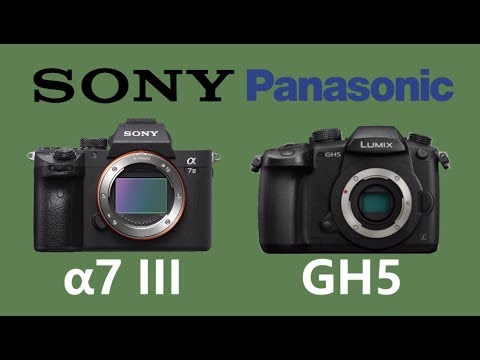 SONY Alpha a7 III vs Panasonic LUMIX GH5