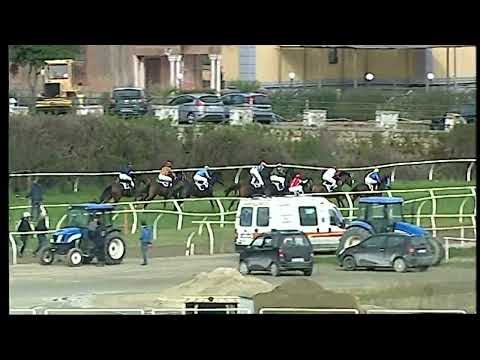 Napoli Galoppo 15/02/2022 - 2ª corsa