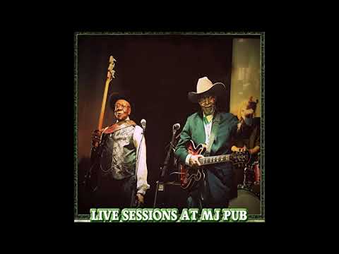 Bob Stroger ft  James Wheeler  -  Stranded In St  Louis