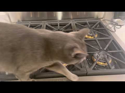 Fulgor Milano 36” Pro Dual Fuel 3 month update - another warranty issue