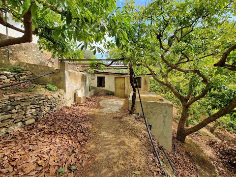 AX1223 - Finca Verde, Viñuela