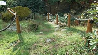 Biourb Gredos (castellano)