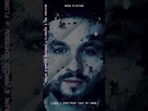 Liceu / Spectrum (Say My Name)