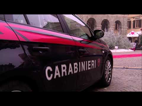 Bucine(Ar). Coltiva 11 piante di cannabis sotto casa: denunciato