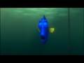 Goodbye Dory
