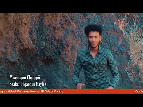 WBC: Seenaa, Muuxannoo fi Gumaacha Abbaan Kallachaa Qabsoo Oromootiif Taasisan