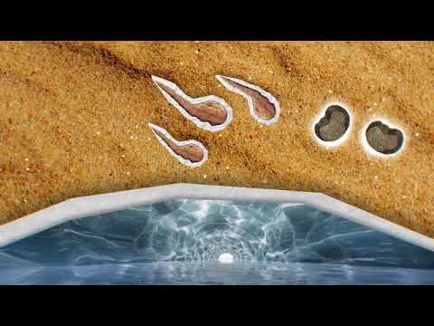 The Sandworm Paradox