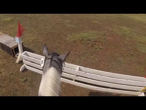 Wild Mustang conquers cross country after just 58 days of training (GoPro)