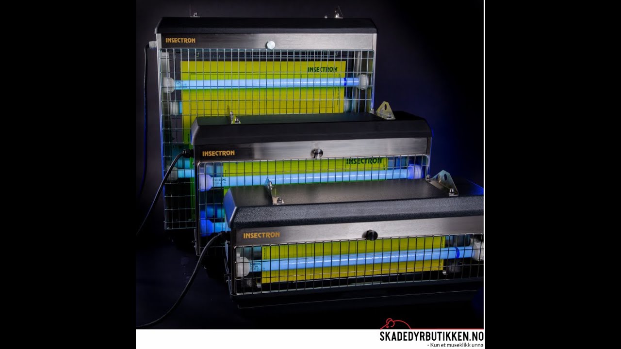 Limplate til Insectron - Opptil 100 M² - 10 stk i pakka