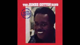 THE JAMES COTTON BAND (Tunica, Mississippi, U.S.A) - Creeper Creeps Again (instr.)