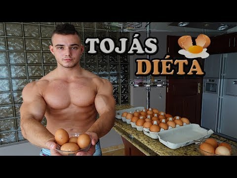 A zsírégetés rendje. A táplálkozás napirendje