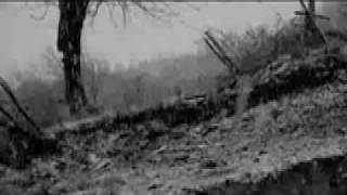 SHINE - Silent