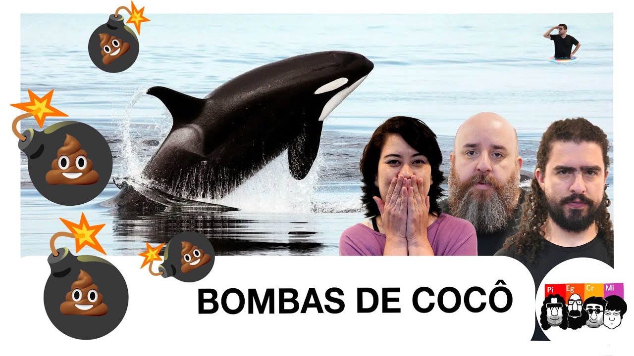Por que as CACHALOTES estão jogando COCÔ nas ORCAS?