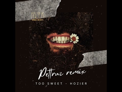too sweet - hozier (Pettruz remix)