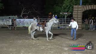 Domenica 27 luglio 2025Terza Esibizione - Daniele Tavani, Horsemanship, a.s.d Tavan's Ranch