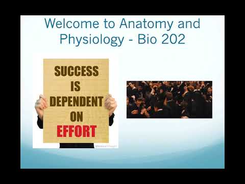 NAU Bio 202 - How to be Successful in Anatomy Lab