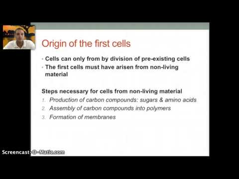 1.5 IB - Origin of Cells