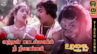 Download lagu Enthan Paadalgalil | HD Video Song 5.1 | Jeevitha | K J Yesudas | B S Sasirekha | T Rajendar mp3 Download lagu Enthan Paadalgalil | HD Video Song 5.1 | Jeevitha | K J Yesudas | B S Sasirekha | T Rajendar mp3