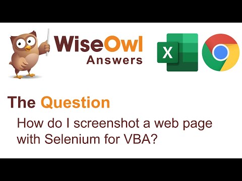Wise Owl Answers - How do I screenshot a web page with Selenium in VBA?