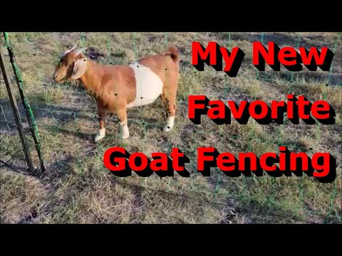 Check This Out! - Why I Love This Goat Fencing - Electric Fence Netting
