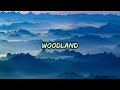 Woodland - The Paper Kites Lyrics Music English