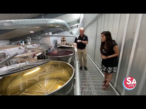 The art + science of wine-making at Augusta Vin Estate Winery | SA Live | KSAT 12